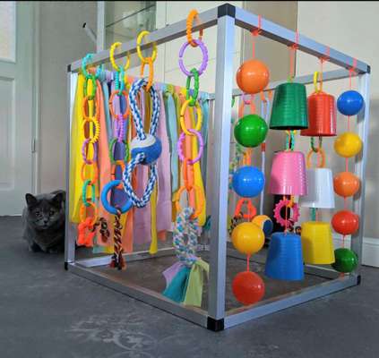 Welpenspielgeräte-Beitrag-Bild