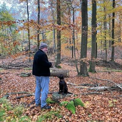 Hundetreffen-Gassitreffen in Tarup und oder Tastrup-Bild