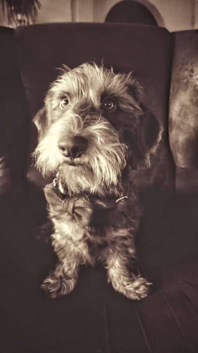 FarbenFoto - Challenge: Sepia-Beitrag-Bild