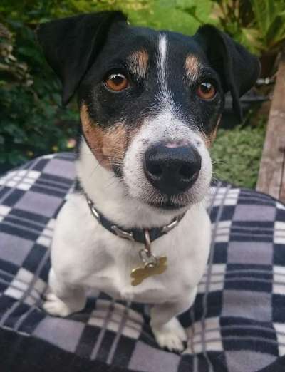 25. Farben Fotochallenge ,,Bernstein"-Beitrag-Bild