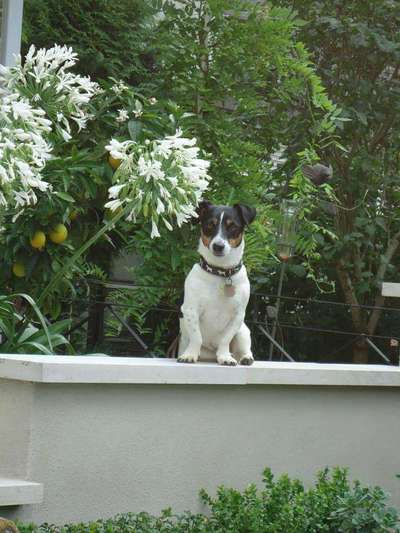 64. Handy Foto Challenge - Hoch hinaus-Beitrag-Bild