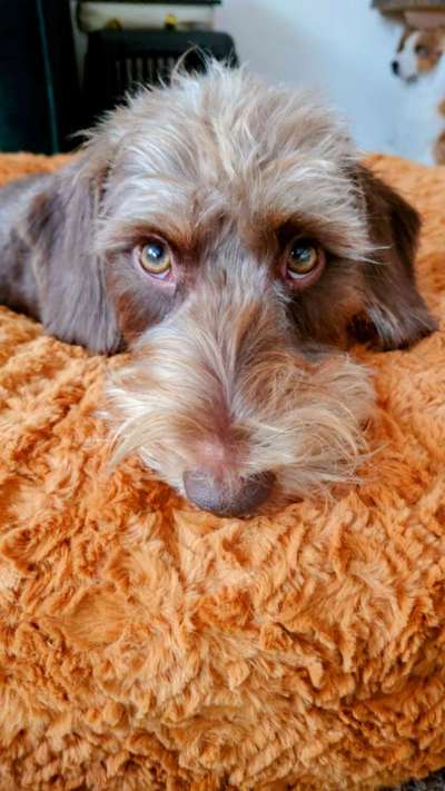 147. Foto Challenge: Bettelblick-Beitrag-Bild