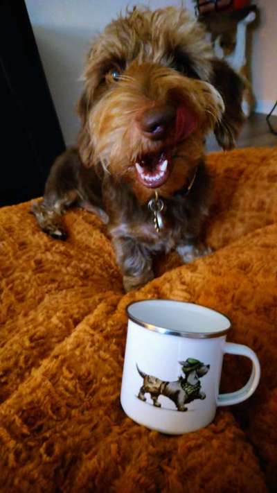 69. Handy-Fotochallenge: Soundtrack-Beitrag-Bild