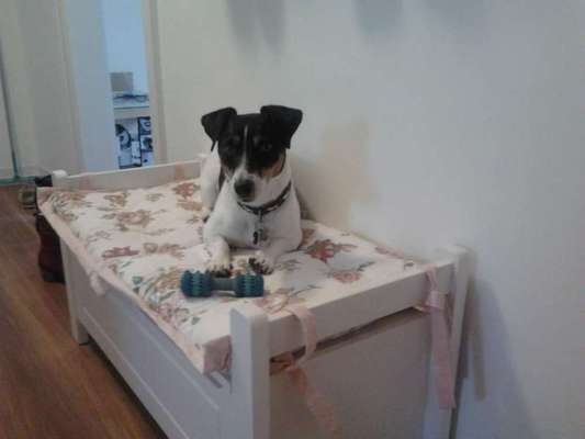 Dogorama Photo Challenge - Bänke-Beitrag-Bild