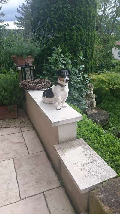 149. Foto Challenge: Wer ist hier der Boss!-Beitrag-Bild