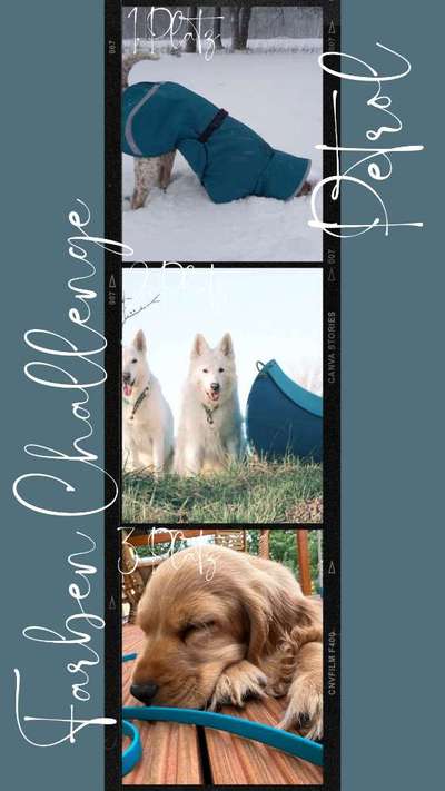 31. Farben Challenge - Petrol-Beitrag-Bild