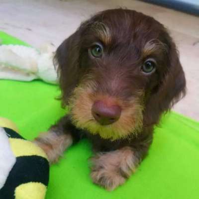 21. Farben / Foto Challenge - Neon / Leuchtfarben-Beitrag-Bild