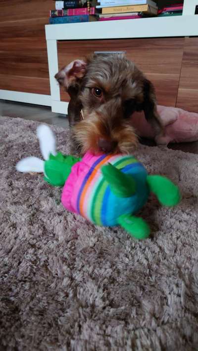 32. Farben Challenge  ** ( BUNTE ) STREIFEN **-Beitrag-Bild