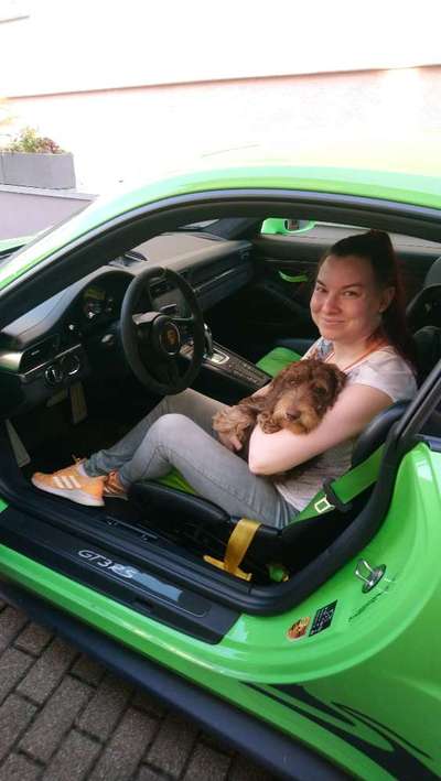 141. FOTO CHALLENGE 
Reisende soll man nicht aufhalten-Beitrag-Bild