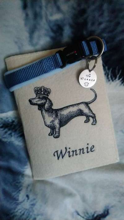 Impfpasshülle ja/nein?-Beitrag-Bild