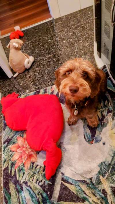 67. Handy Foto Challenge: Rotes Herz-Beitrag-Bild