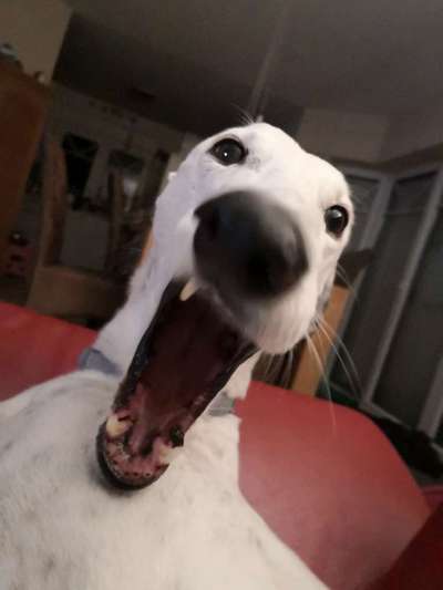 Fotochallange 84-Beitrag-Bild