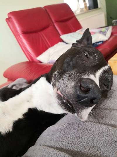 Fotochallange 84-Beitrag-Bild