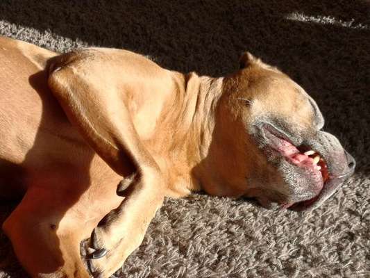 Lustige Grimassen & verrückte Posen-Beitrag-Bild