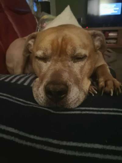 Fotochallange 84-Beitrag-Bild