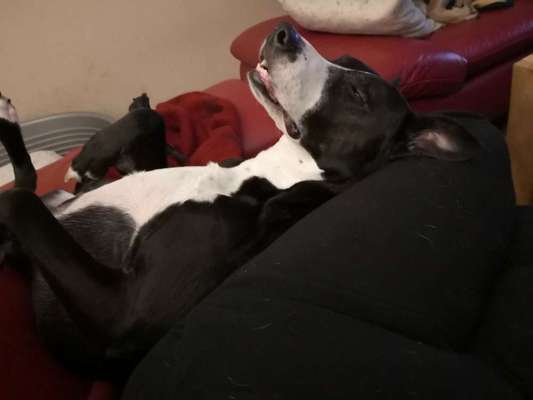 Lustige Grimassen & verrückte Posen-Beitrag-Bild