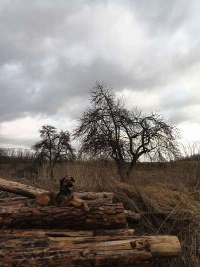 Theos Fotochallenge Nr. 3-Beitrag-Bild