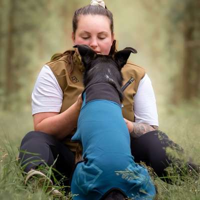 Tierfotografen-Pfoten im Fokus Photography-Bild