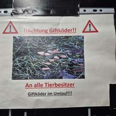 Giftköder-Giftköder-Bild