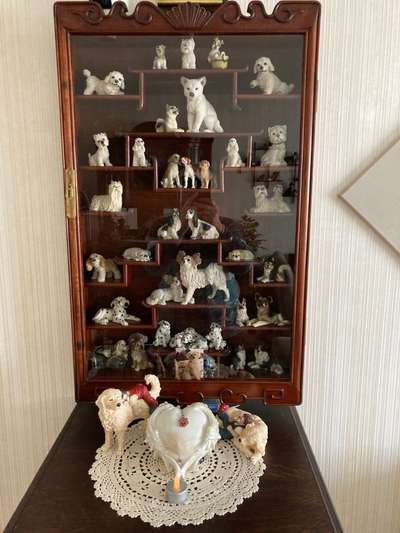 Urne von verstorbenen Haustieren !-Beitrag-Bild