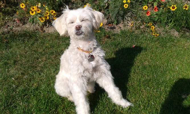 Farben Fotochallenge Sonnenlicht-Beitrag-Bild