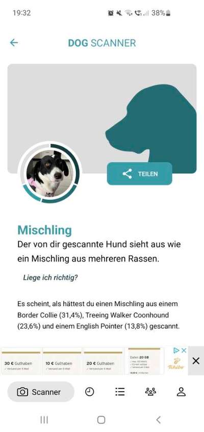 Rassen raten (Tierschutzhündin aus Kroatien)-Beitrag-Bild