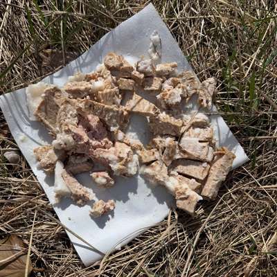 Giftköder-Verdächtiger Giftköder-Bild