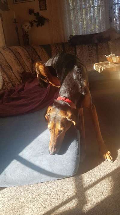 Die unbequemsten und lustigsten Schlafpositionen-Beitrag-Bild