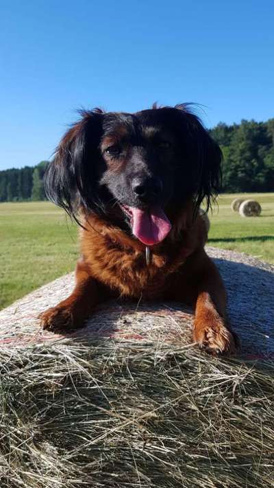 Fotowettbewerb Natur-Beitrag-Bild