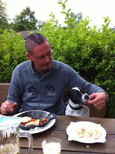 Hund in der Wirtschaft-Beitrag-Bild