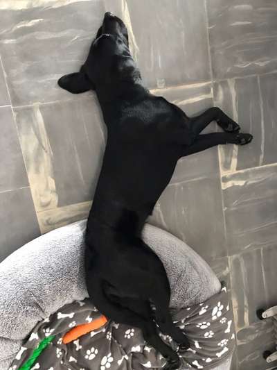 Erfahrung mit Wolkenbett-Beitrag-Bild