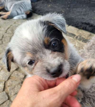 Sie werden so schnell erwachsen ...-Beitrag-Bild