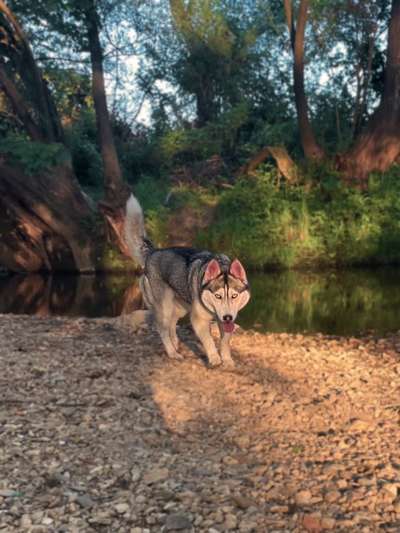 Austausch zur Fotografie-Beitrag-Bild