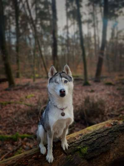 Austausch zur Fotografie-Beitrag-Bild