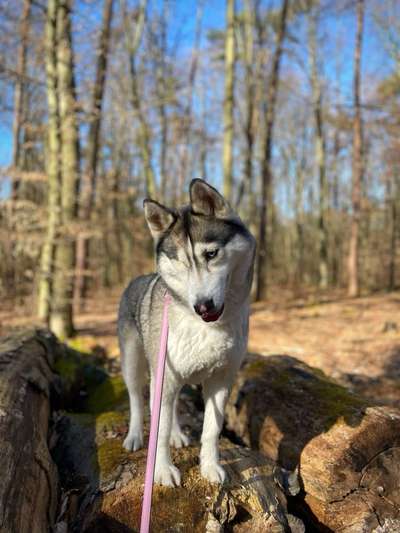 Austausch zur Fotografie-Beitrag-Bild