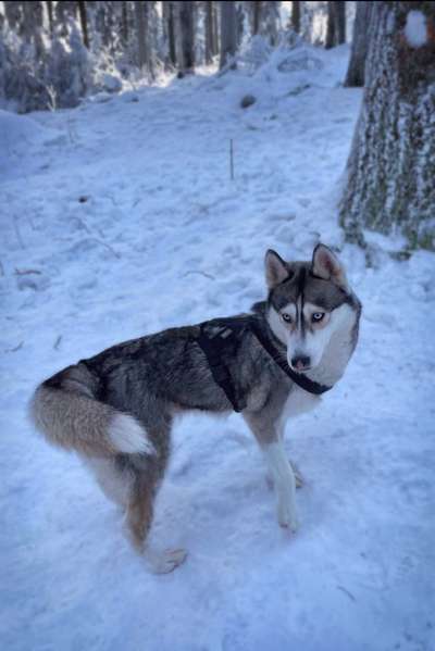 Austausch zur Fotografie-Beitrag-Bild