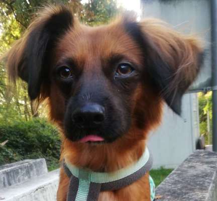 Fotochallange Nr. 57     PORTRÄT.   Beendet!!!!!!!!-Beitrag-Bild