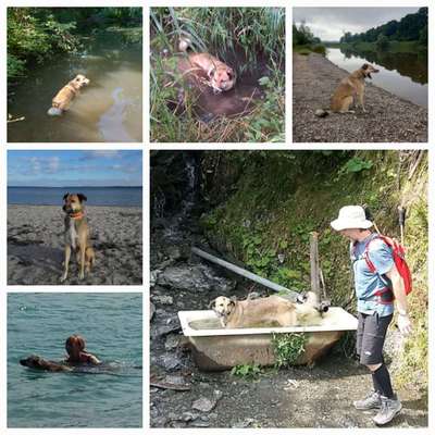 Eure schönsten Fotos mit Wasser-Beitrag-Bild