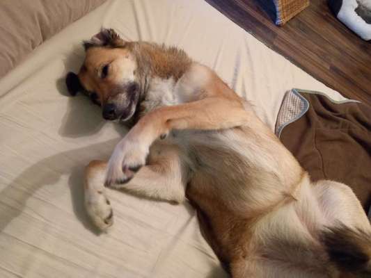 Relaxen im bett-Beitrag-Bild