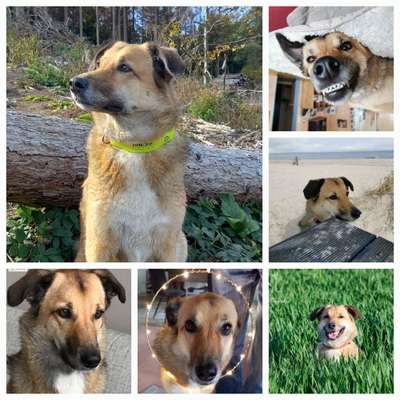 23. Collagen-Challenge: Portraits-Beitrag-Bild