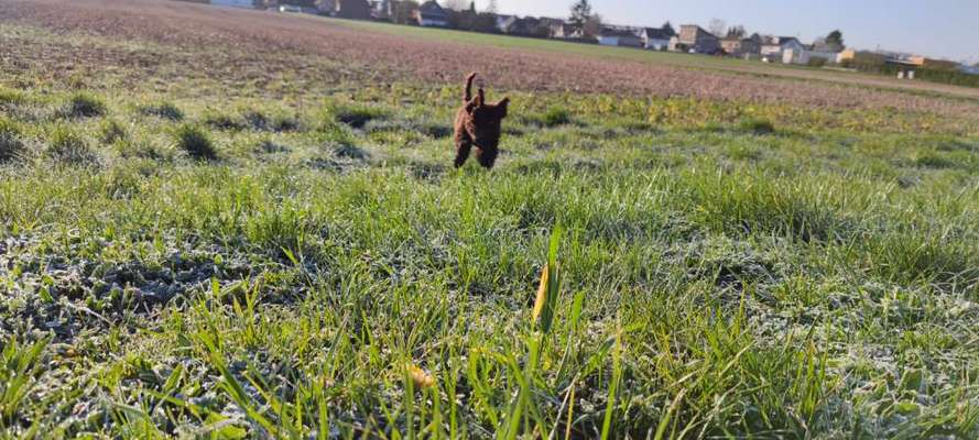 17. Farben Foto Challenge: Pastellfarben-Beitrag-Bild