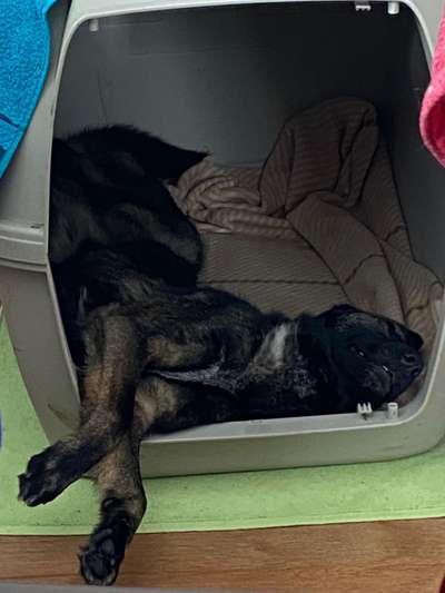 Die unbequemsten und lustigsten Schlafpositionen-Beitrag-Bild