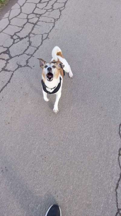 Fotochallange 84-Beitrag-Bild