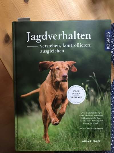 Wie kann ich das Jagen abgewöhnen?-Beitrag-Bild