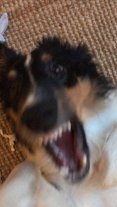 Un...scharf Bilder-Beitrag-Bild