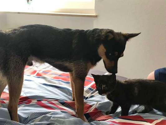 Fotochallenge Nr. 67: Euer Lieblingsbild-Beitrag-Bild