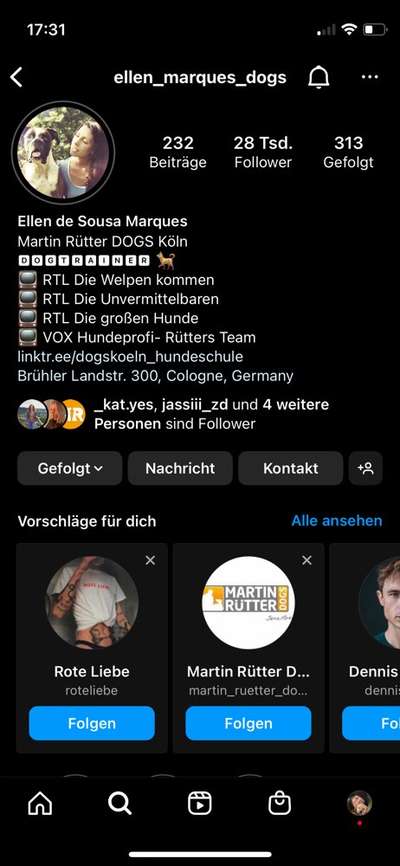 Ich möchte mir einen Hund zulegen.-Beitrag-Bild