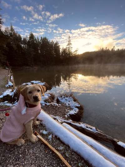 14. Collagen Challenge- Sonnenaufgang & -Untergang-Beitrag-Bild