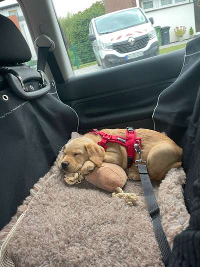 Fotochallenge 101:
On Tour-Beitrag-Bild