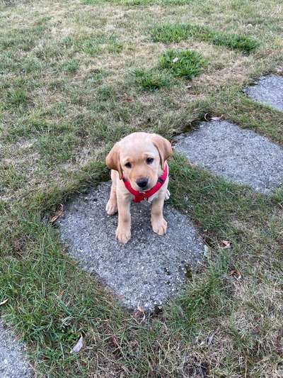 Handy-Foto Challange Nr. 10-Beitrag-Bild